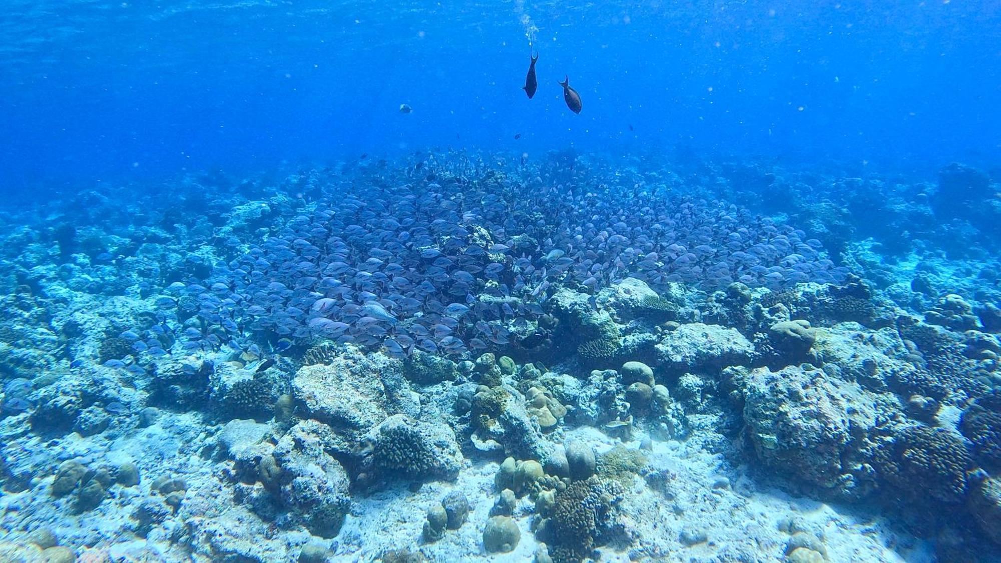 Konut by Thakuru Otel Guraidhoo  Dış mekan fotoğraf