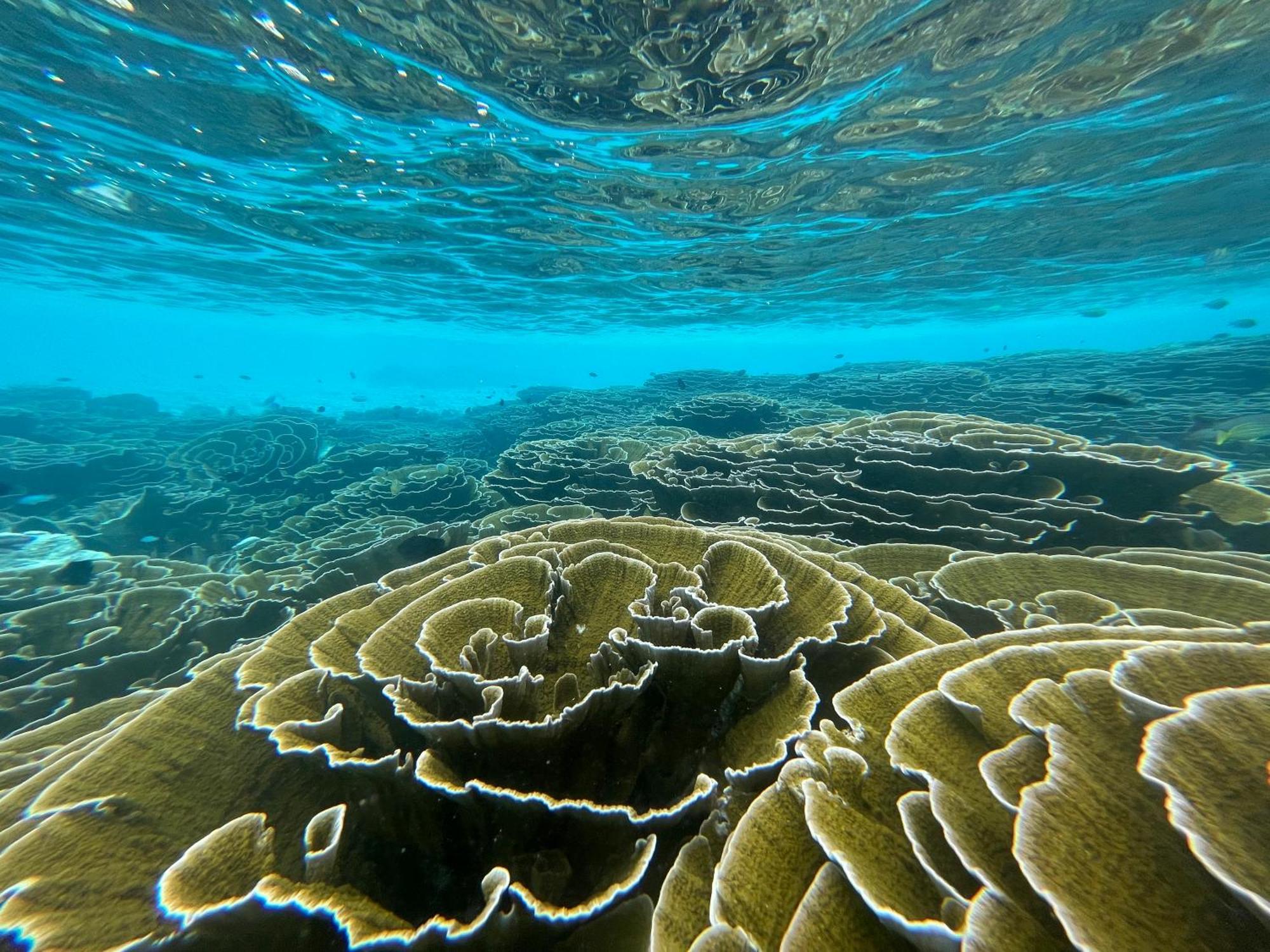 Konut by Thakuru Otel Guraidhoo  Dış mekan fotoğraf