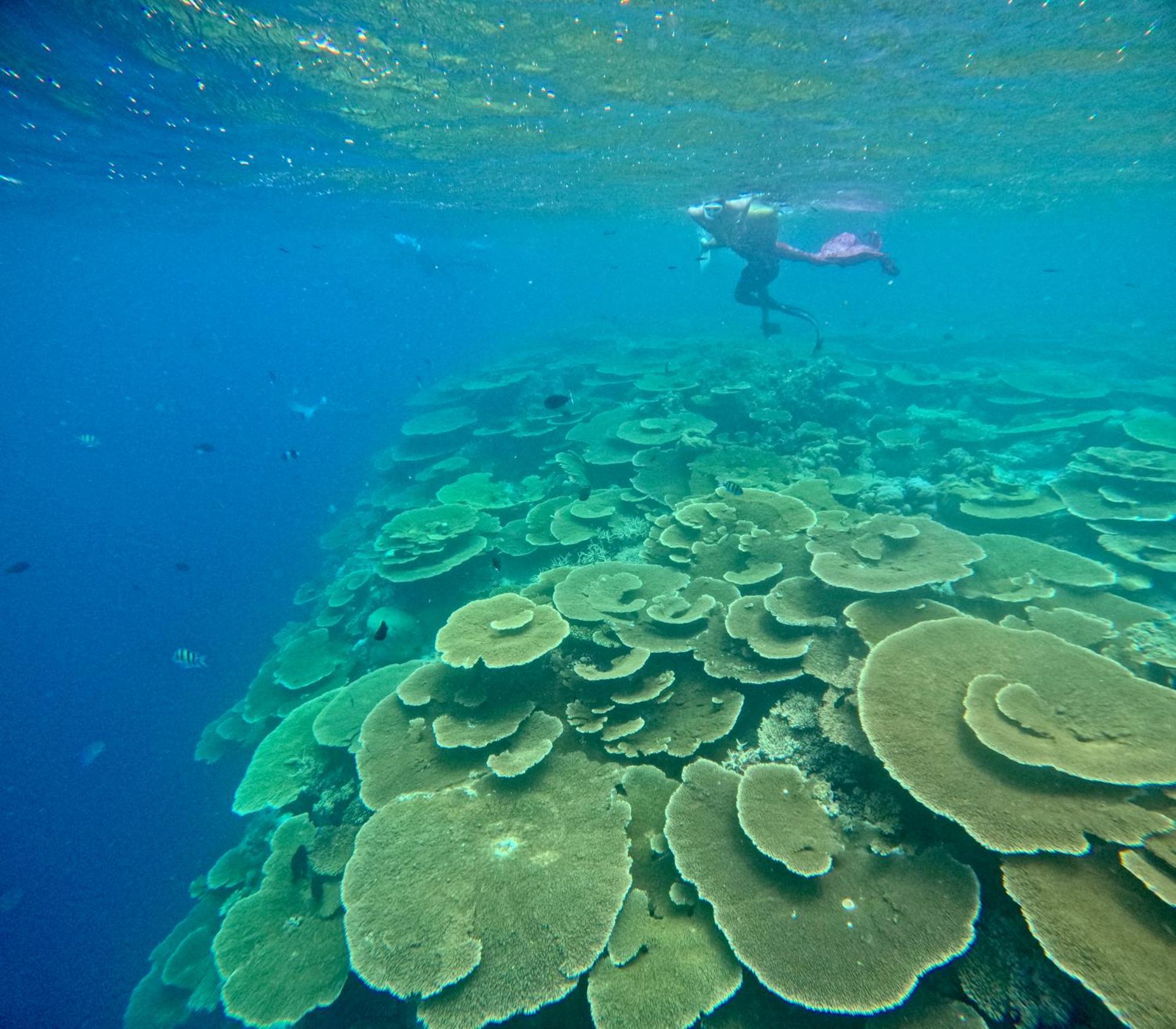 Konut by Thakuru Otel Guraidhoo  Dış mekan fotoğraf