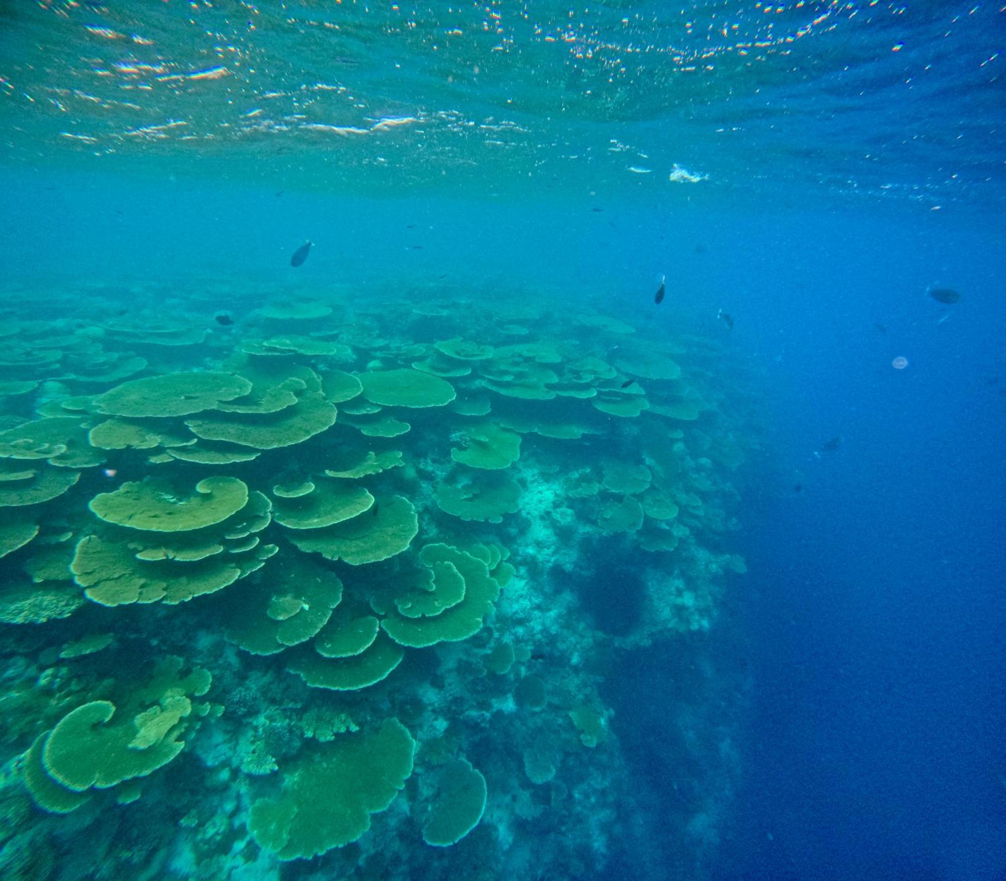 Konut by Thakuru Otel Guraidhoo  Dış mekan fotoğraf