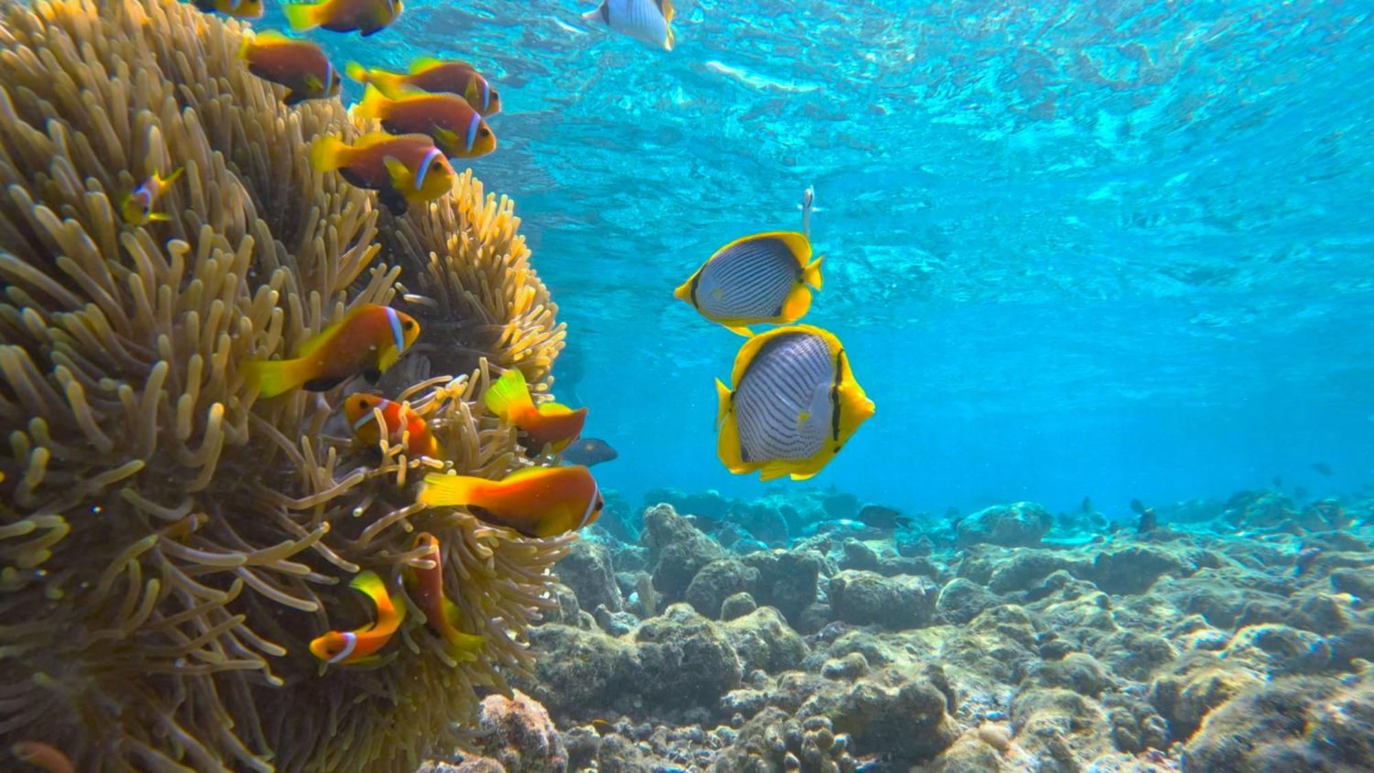 Konut by Thakuru Otel Guraidhoo  Dış mekan fotoğraf