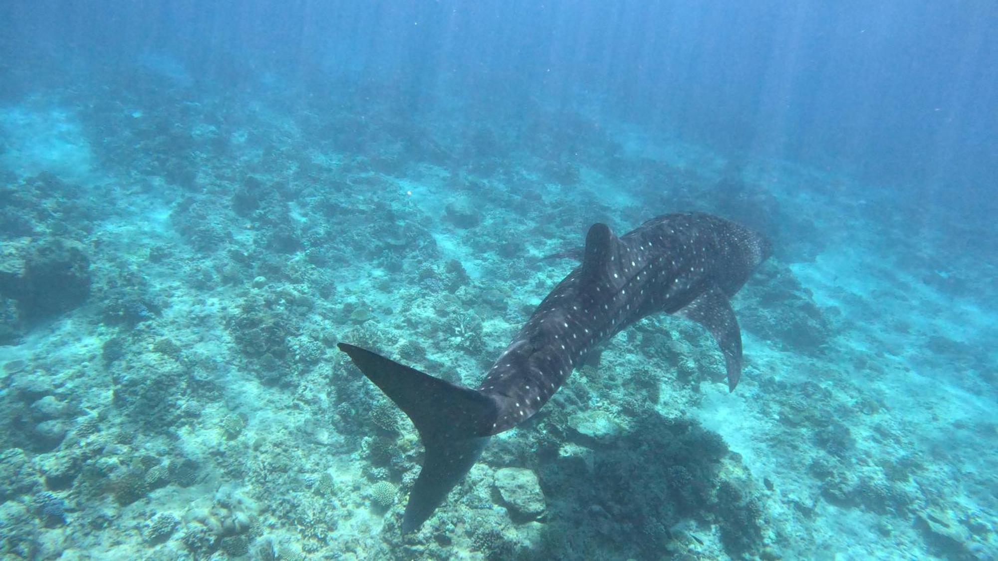 Konut by Thakuru Otel Guraidhoo  Dış mekan fotoğraf