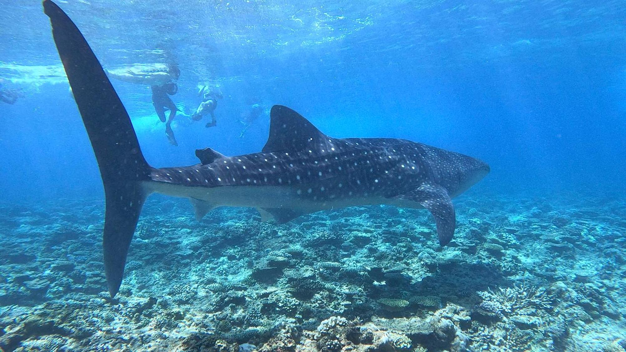 Konut by Thakuru Otel Guraidhoo  Dış mekan fotoğraf