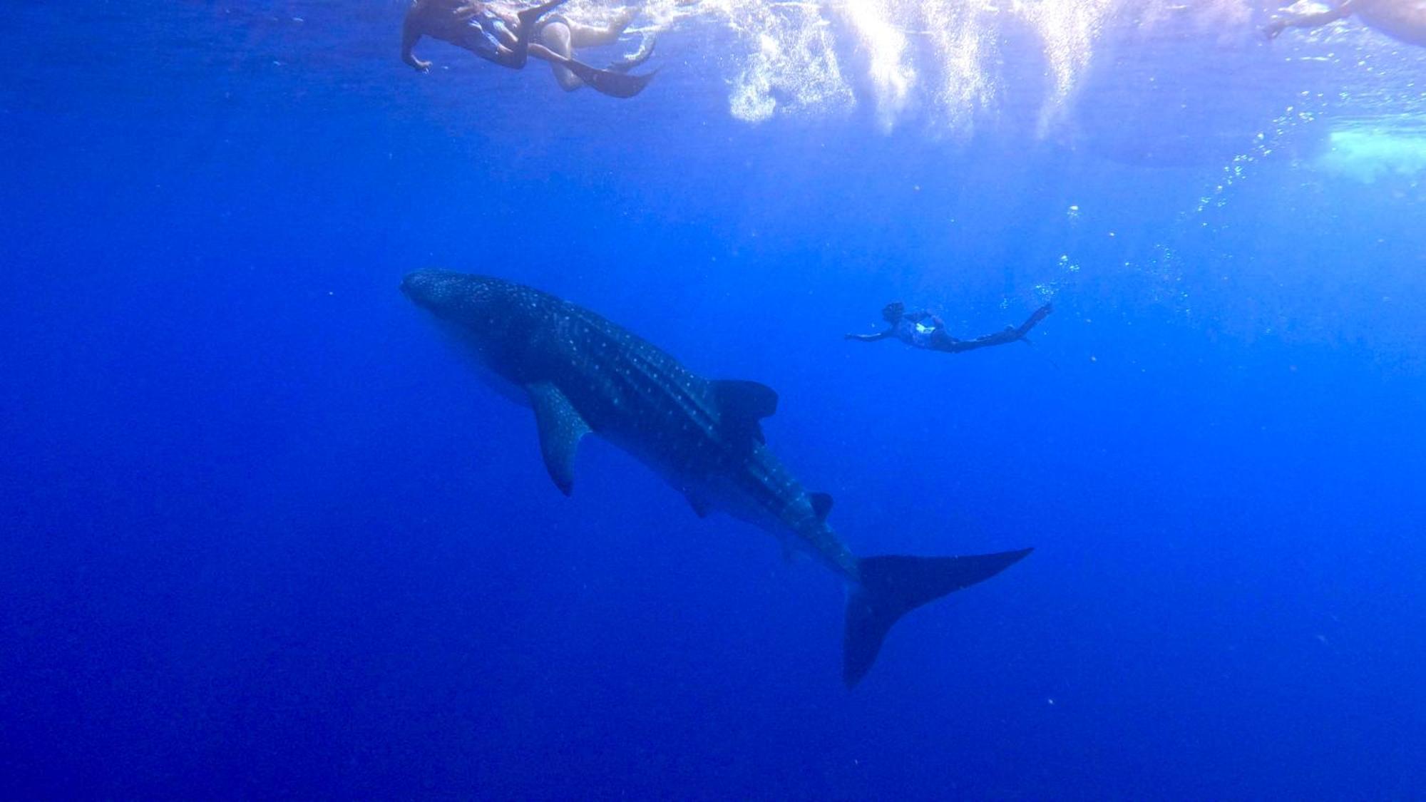Konut by Thakuru Otel Guraidhoo  Dış mekan fotoğraf
