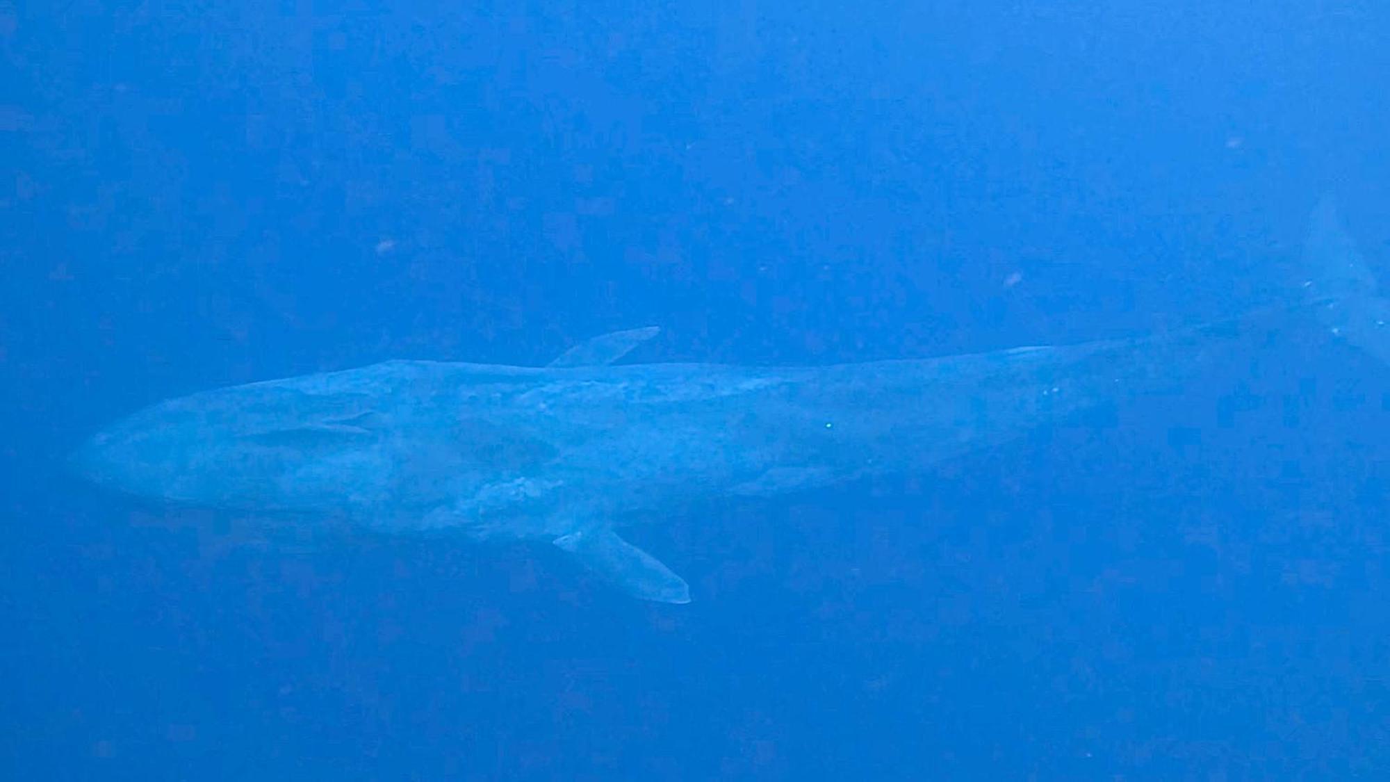 Konut by Thakuru Otel Guraidhoo  Dış mekan fotoğraf