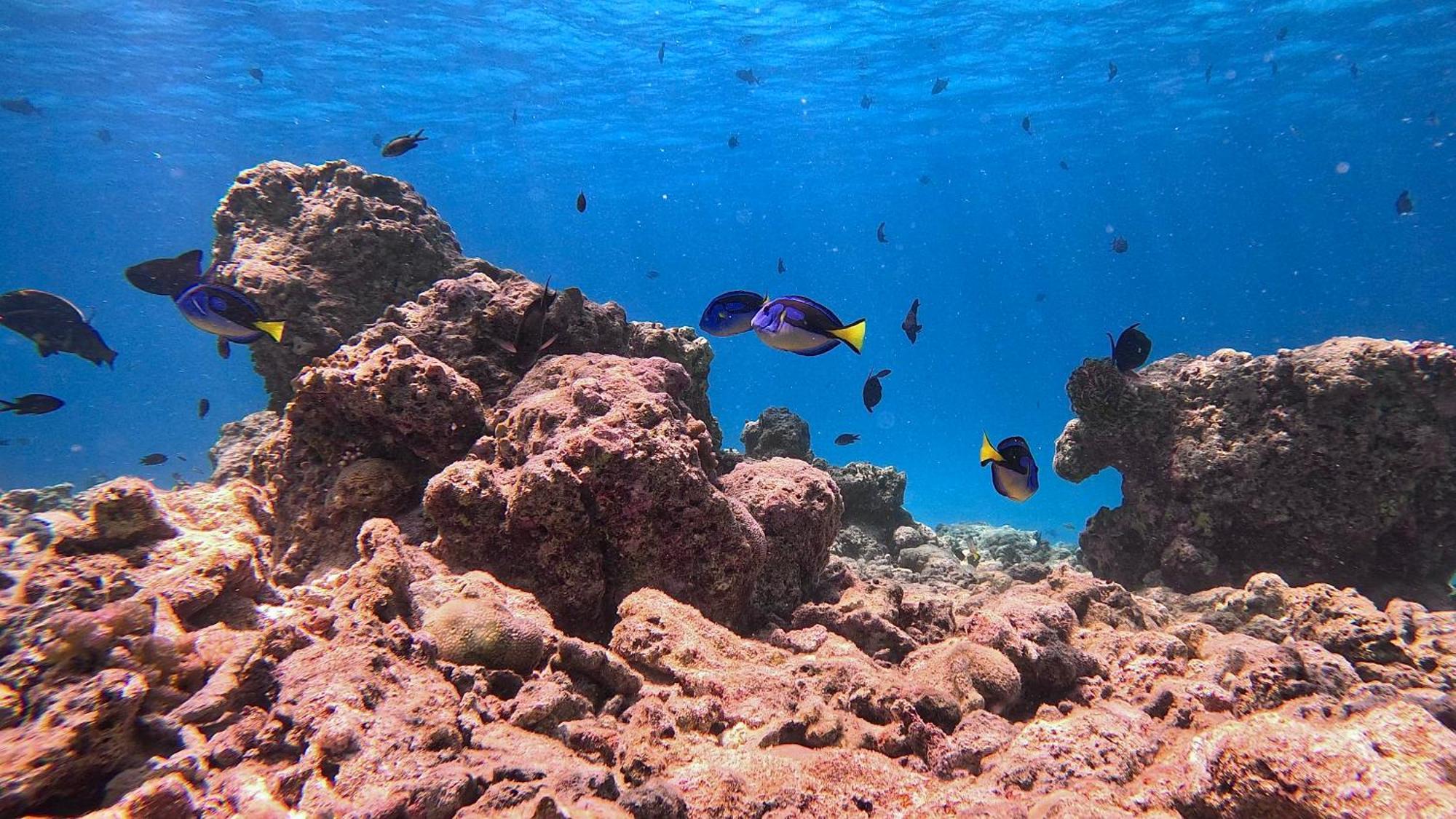 Konut by Thakuru Otel Guraidhoo  Dış mekan fotoğraf
