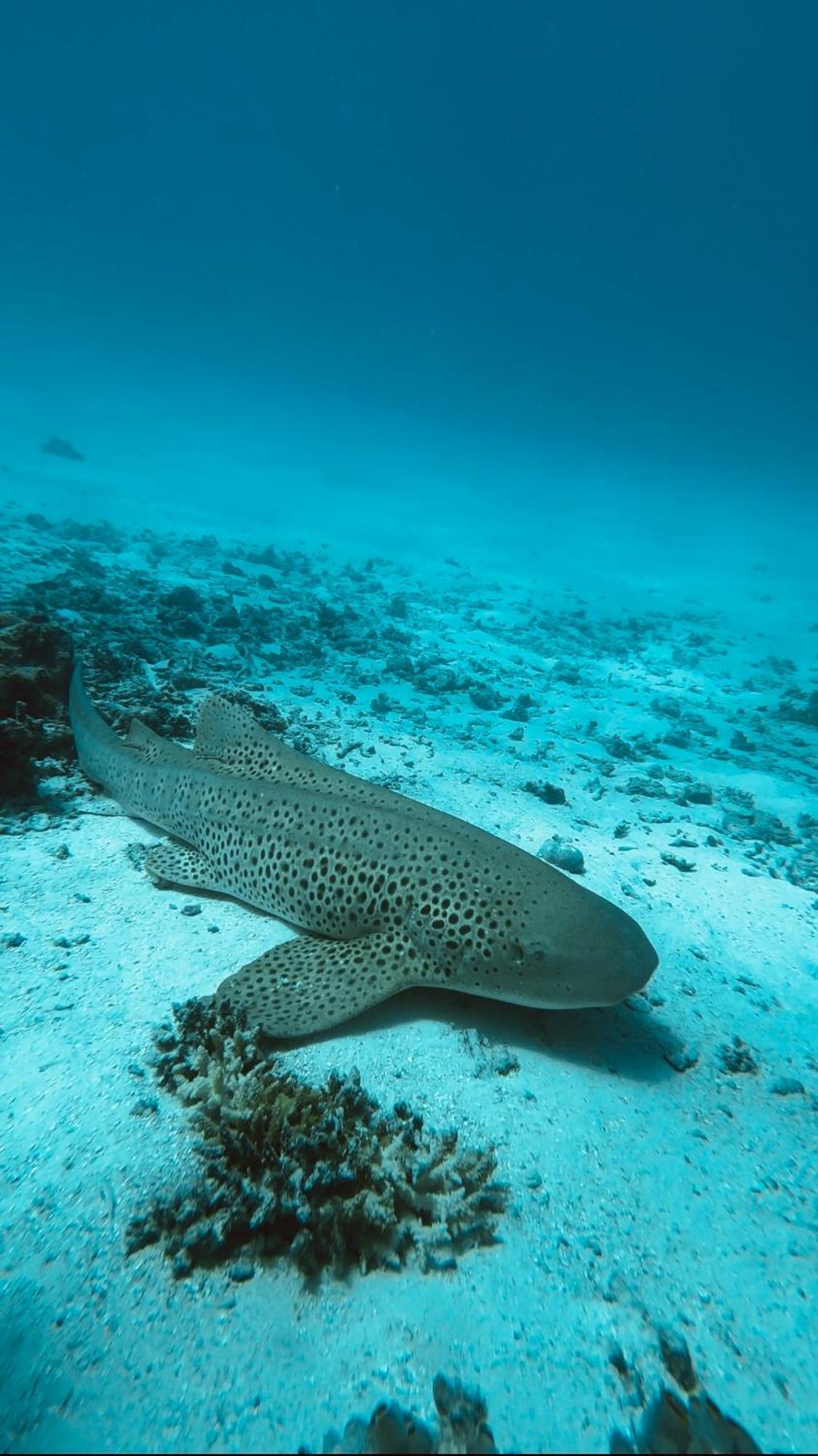 Konut by Thakuru Otel Guraidhoo  Dış mekan fotoğraf
